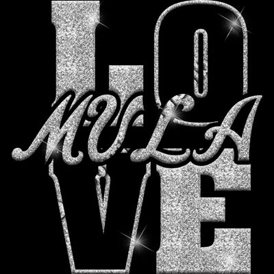 GLT74 SILVER GLITTER Thumbnail