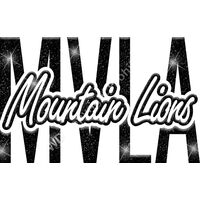 GLT95 BLACK GLITTER Thumbnail